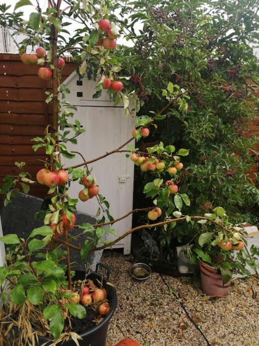 Welsh Miners Cottage Four Bedroom House Treherbert 외부 사진