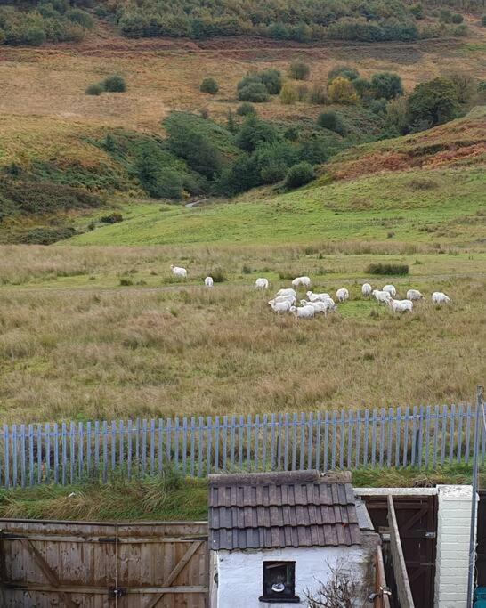Welsh Miners Cottage Four Bedroom House Treherbert 외부 사진