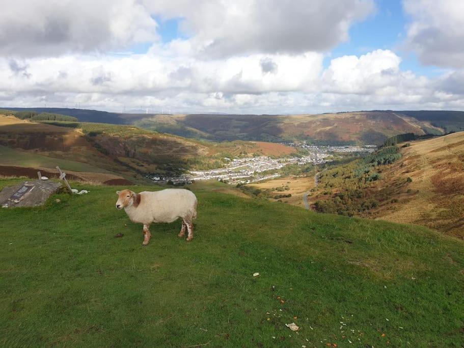 Welsh Miners Cottage Four Bedroom House Treherbert 외부 사진